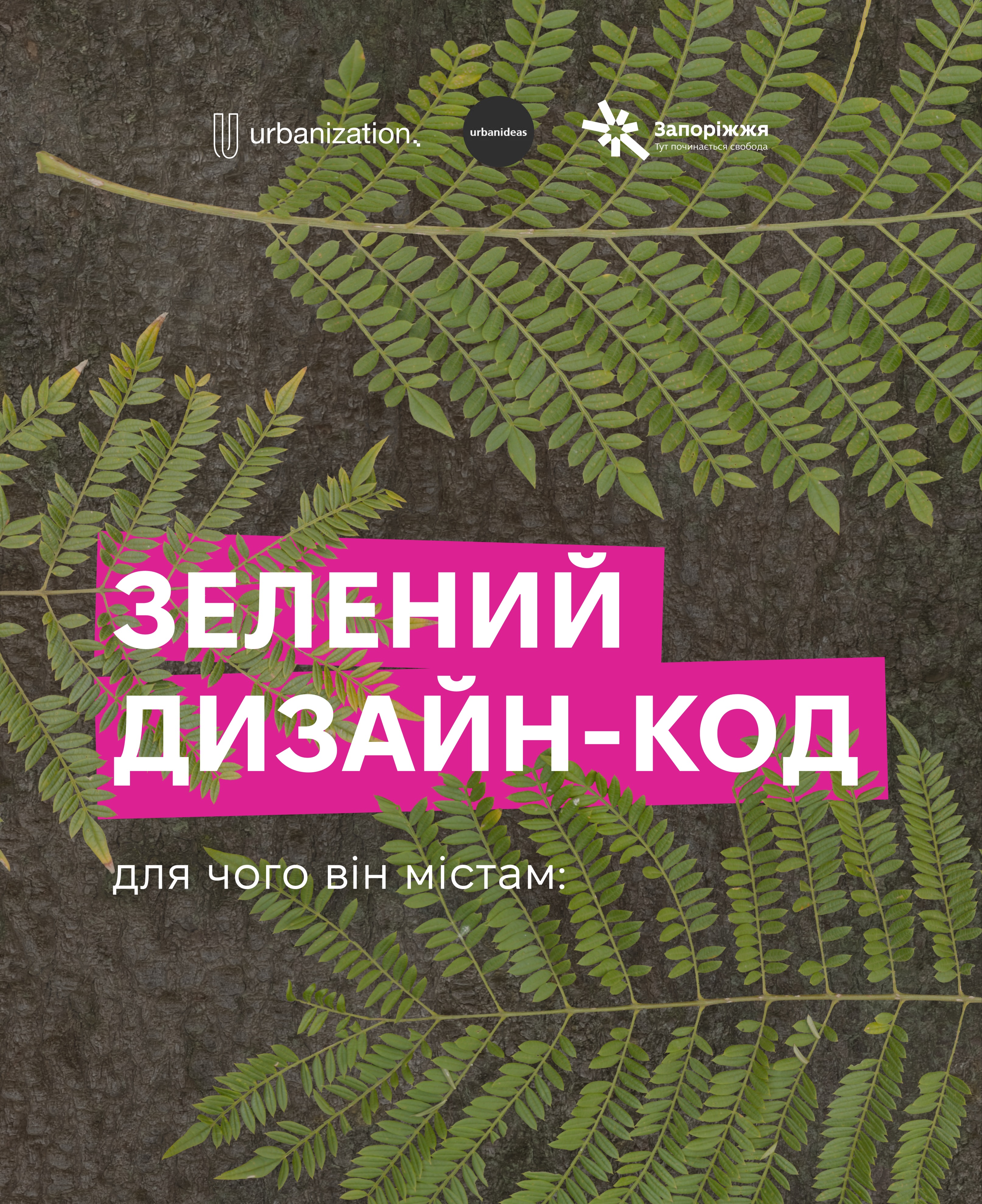 Зелений дизайн-код: для чого він містам?