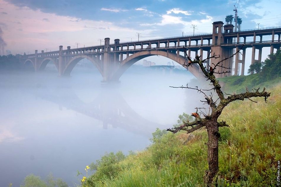 Мама хохотала: чим відзначилася середа у Запоріжжі?