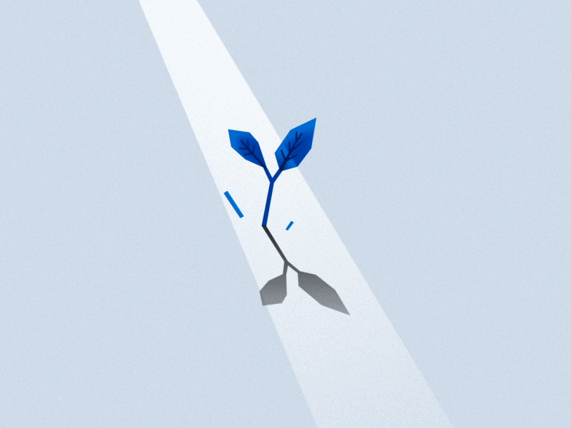 «Зелена столиця» України: чи можливо зробити Запоріжжя осередком природи?