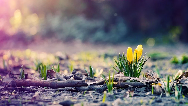 Де відпочити в березні