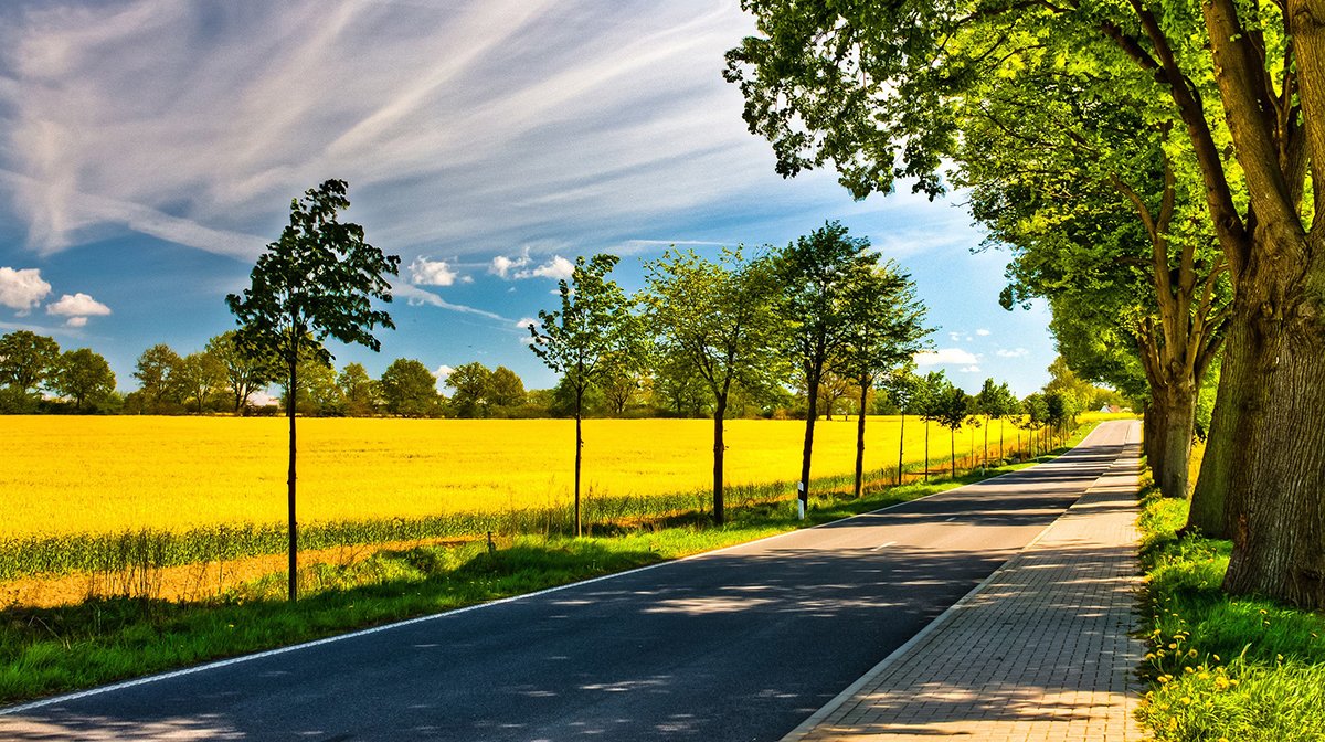 20 квітня – День довкілля