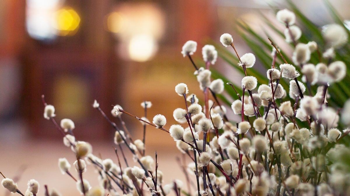 Вербна неділя - історія і традиції