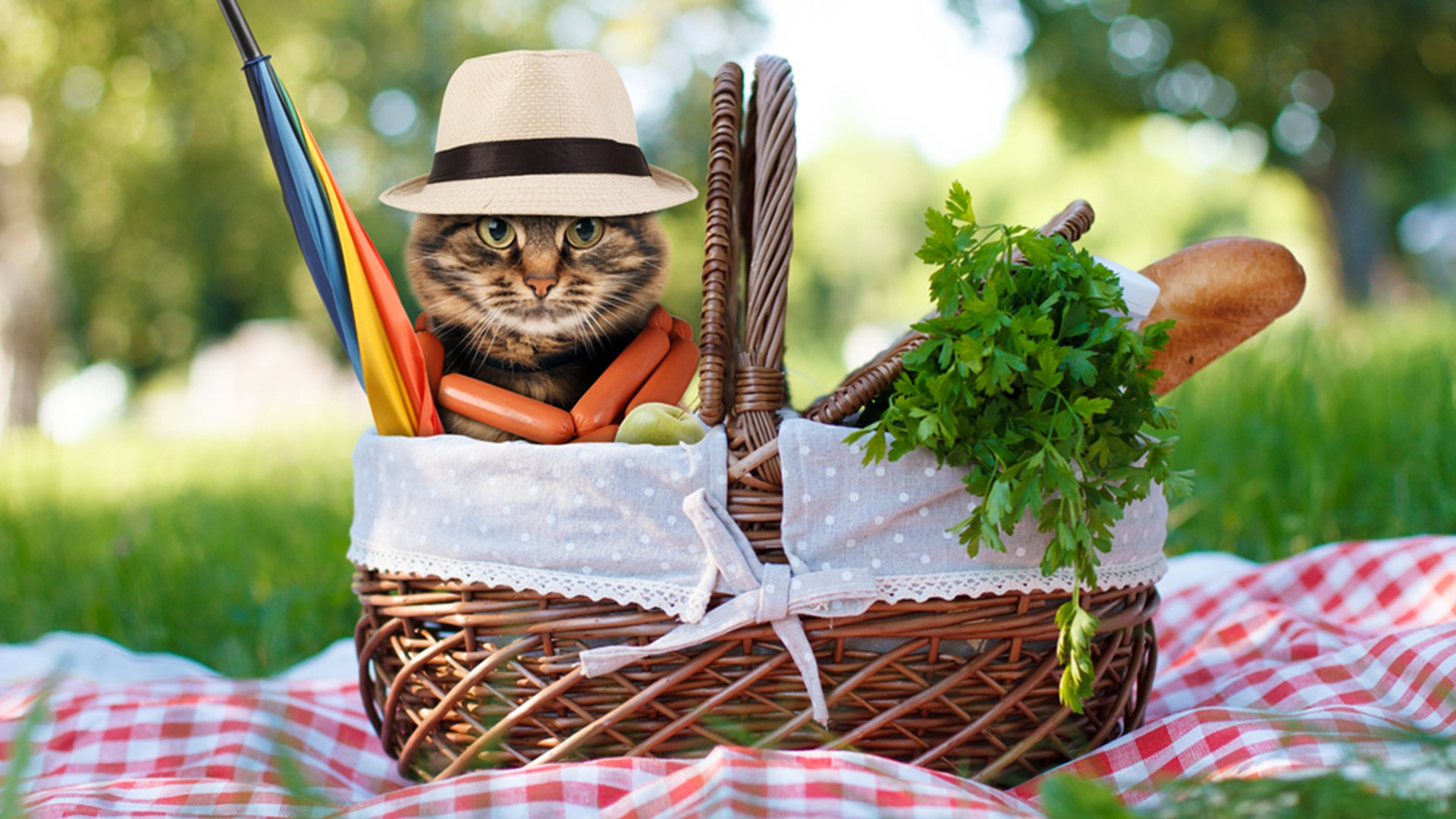 15 правил аби влаштувати еко-пікнік