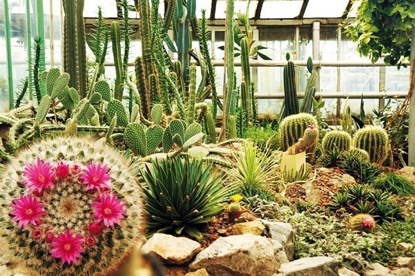 Тур-продукт: "Дивовижний оазис Запоріжжя"