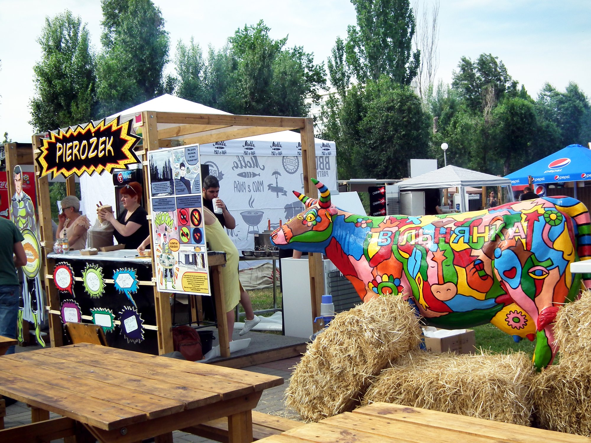 Пикник на радуге