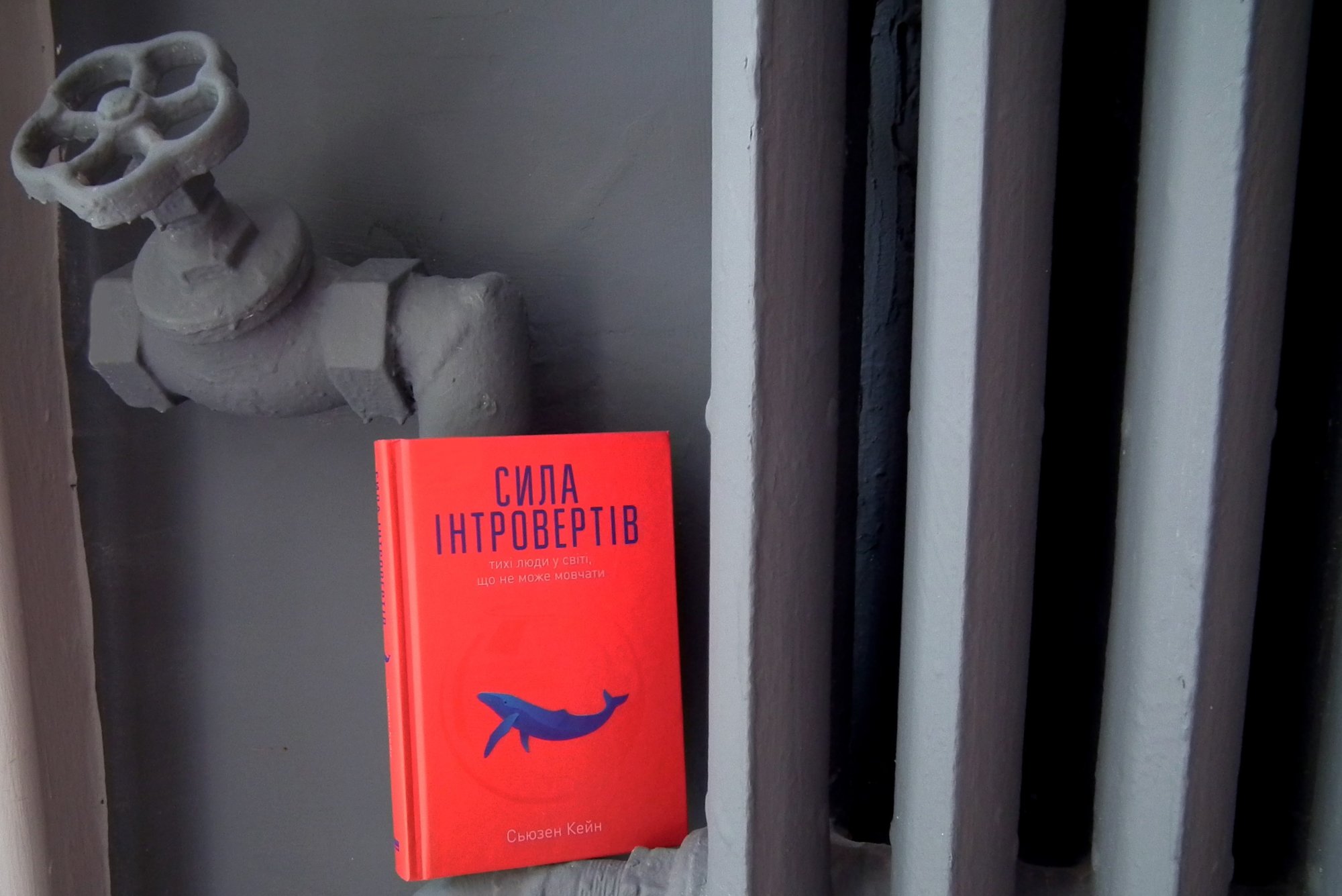 До бібліотеки за бестселером