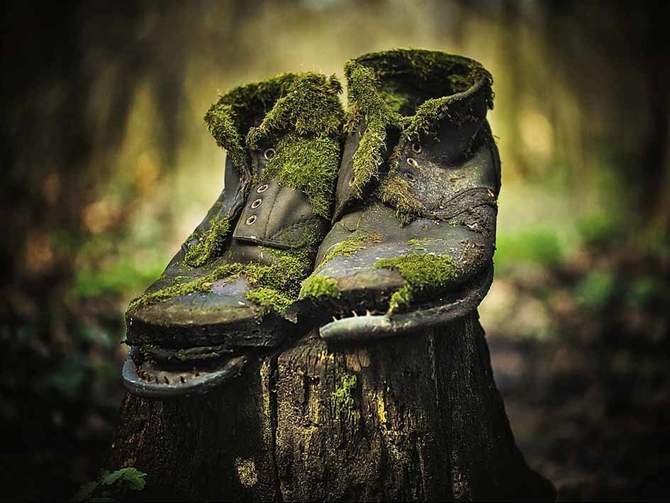 Відкриття фотовиставки "Таємничий світ. Хортиця"