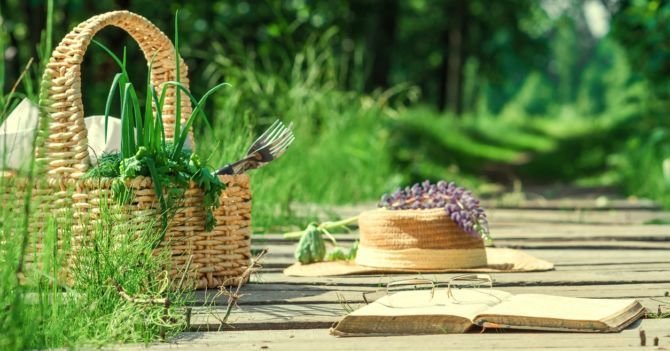 Що взяти з собою на річкову прогулянку