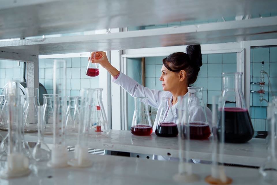 Тур-продукт: "Вина Запоріжжя"