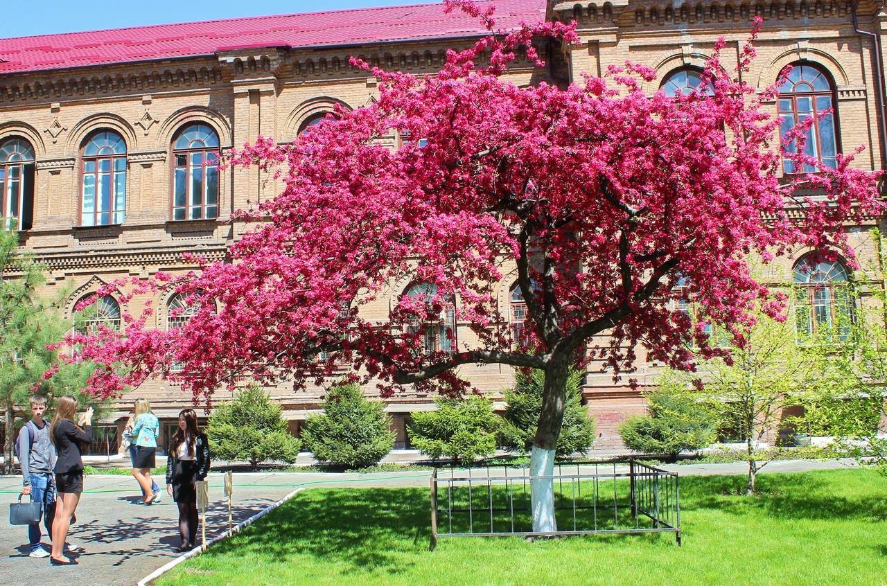Екскурс в історію:  Жіноча гімназія
