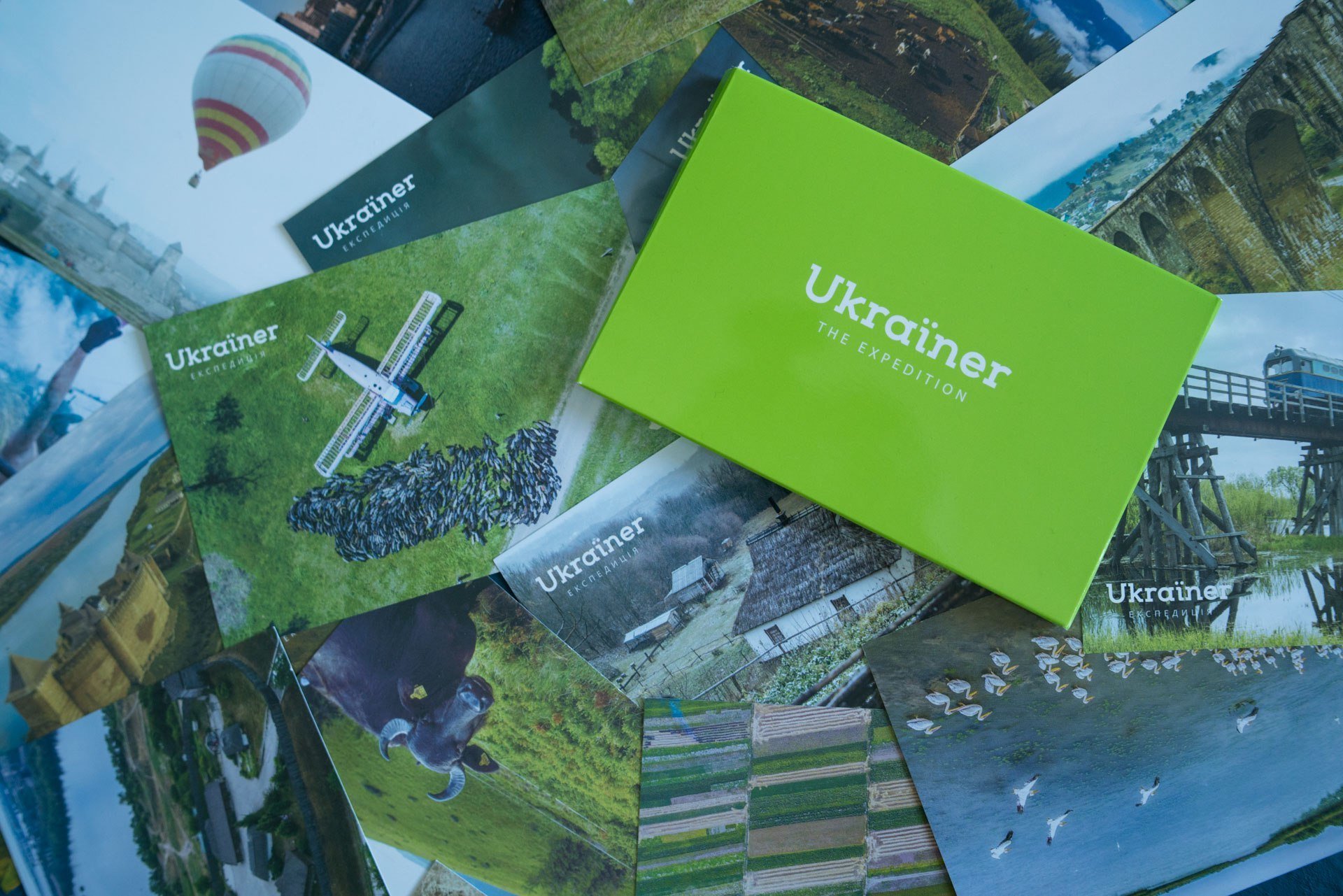 Project «Ambassadors» in Zaporizhzhia