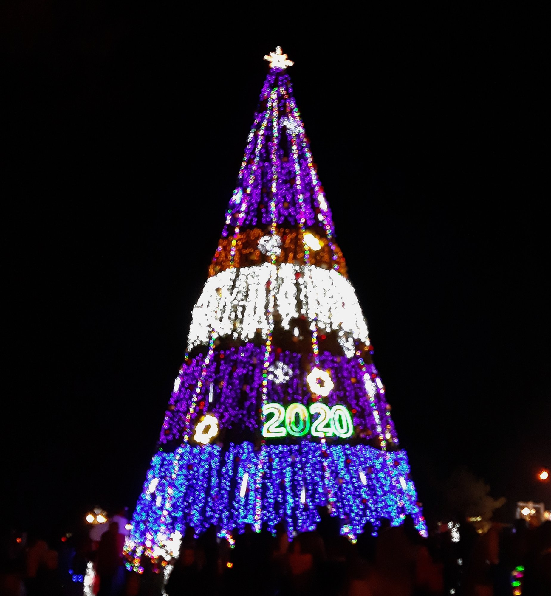 Opening of the main Christmas tree in Zaporizhzhia