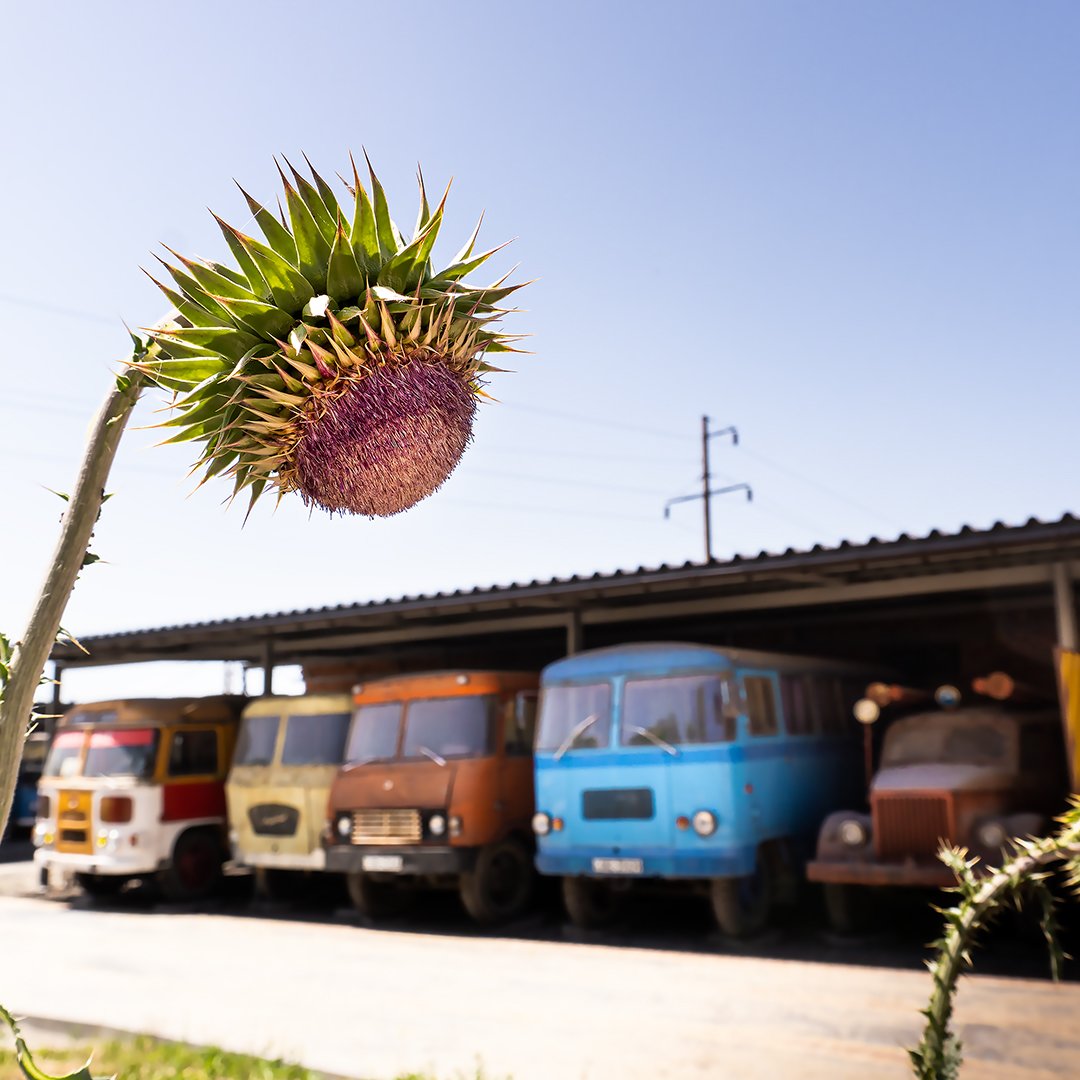 Two unusual museums will be opened in the nearest future!