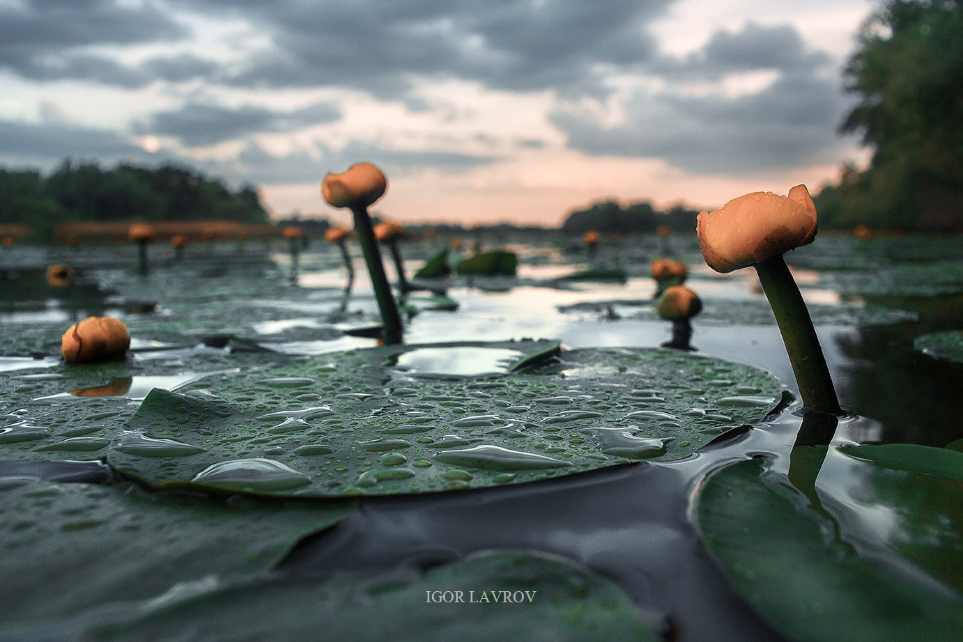 Тур-продукт від ТІЦ. Прогулянки на каяках