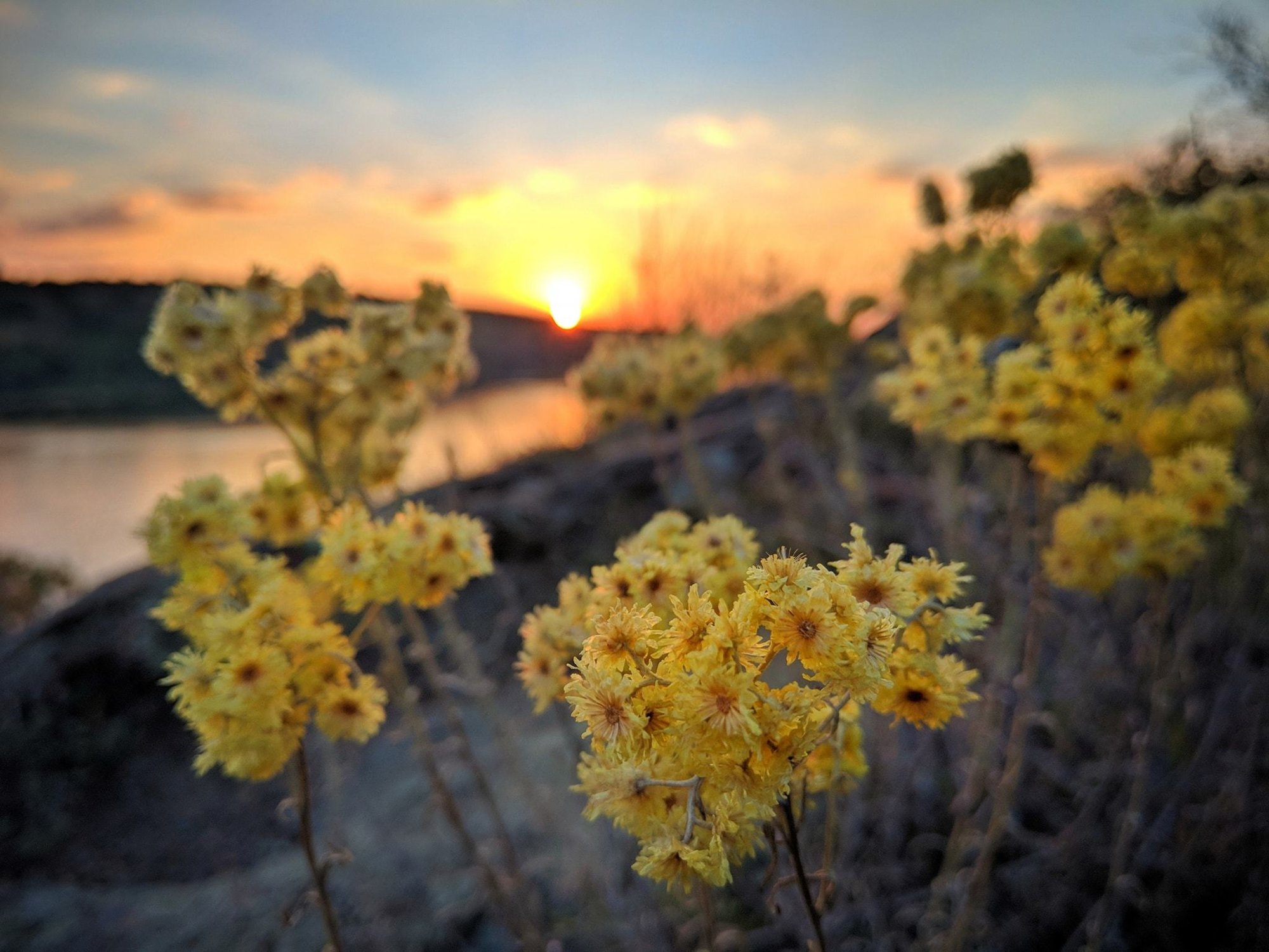 Останній день літа. Добірка фото