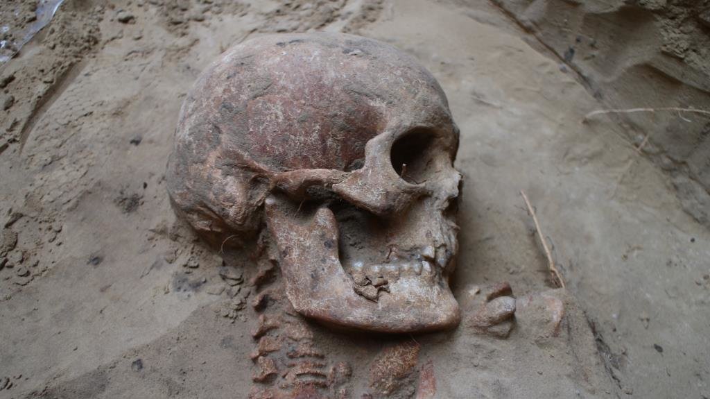 На Хортиці знайдено скелет скіфського воїна, вік якого 2500 років