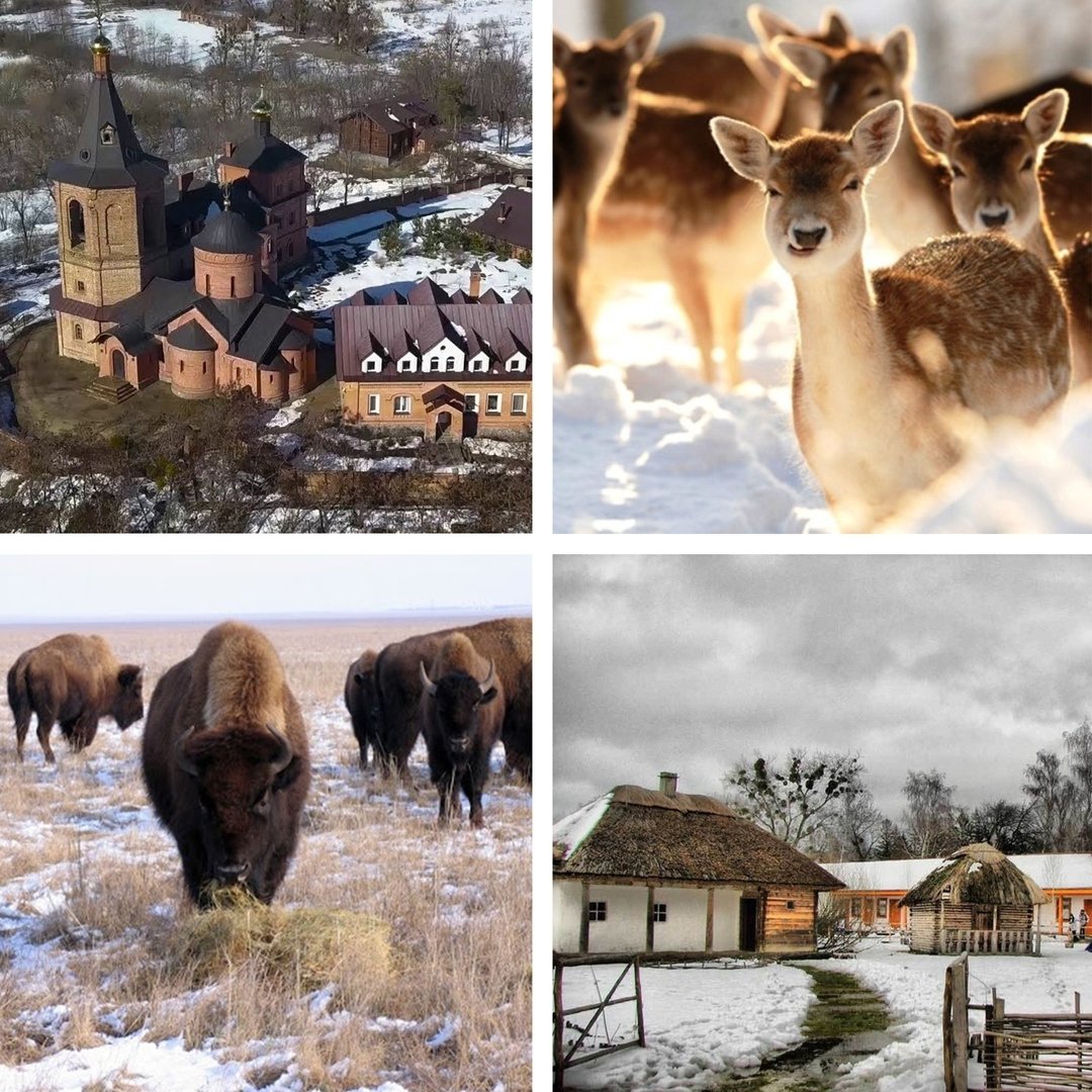 Автомобільні маршрути для подорожей Україною