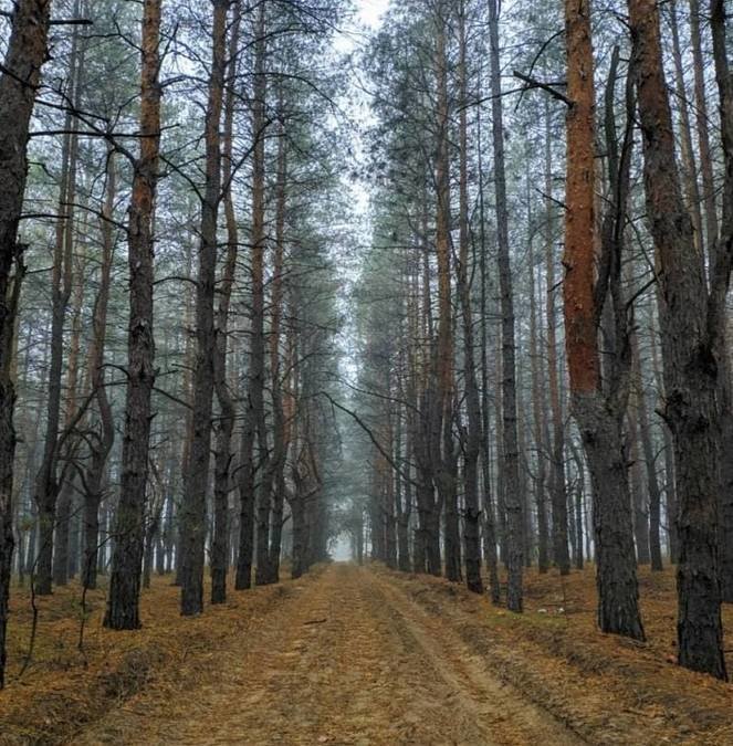Що зробити під час канікул за 0 грн