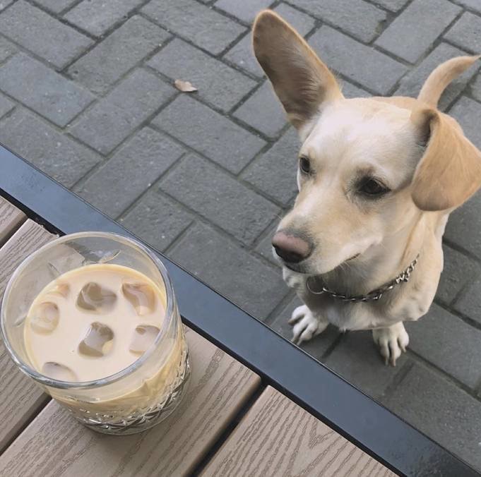 Гарні новини за тиждень