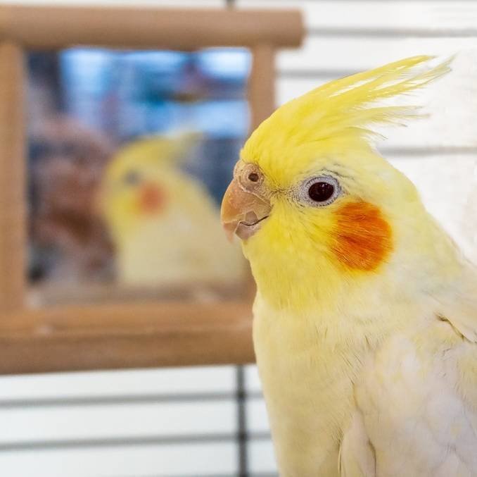 Наш новий друг