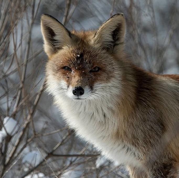 Гарні новини за тиждень