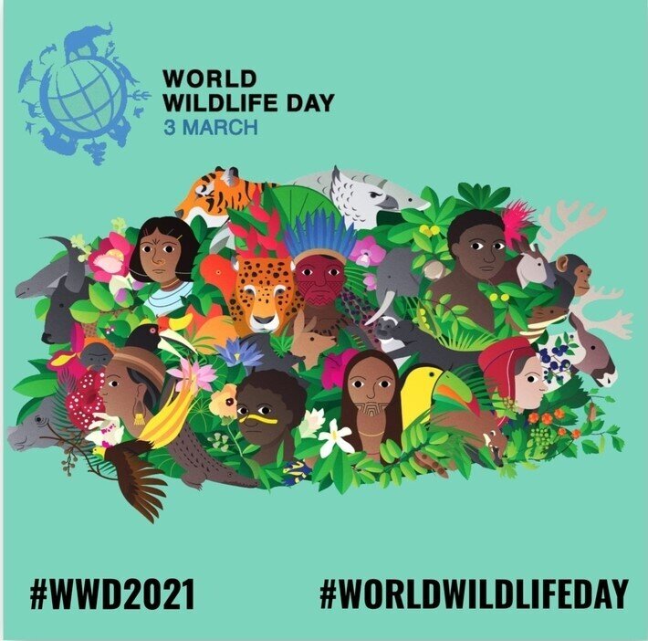 Всесвітній день дикої природи