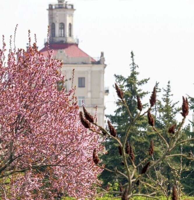 Перший день весни. Добірка фото