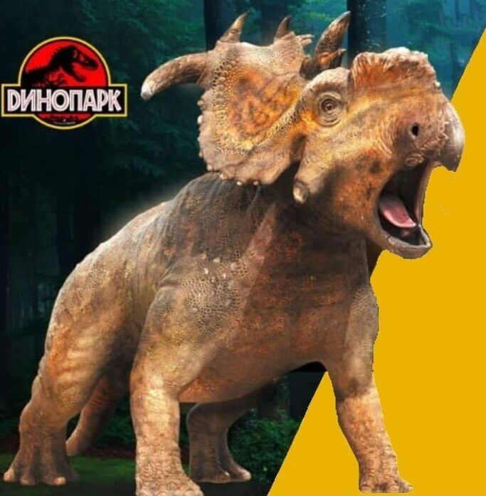 Гарні новини за тиждень