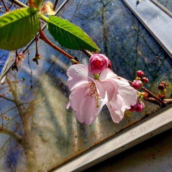 Гарні новини за тиждень