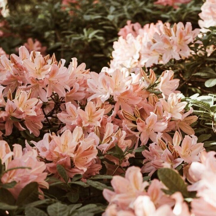 Весняний плейлист