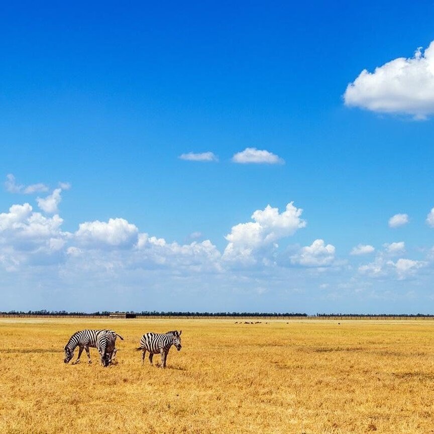 Україна або інша країна?