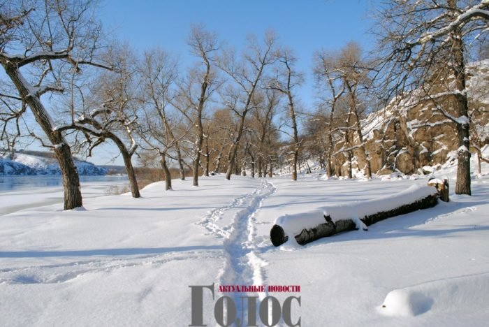 На заповідній Хортиці помітили рідкісних мешканців