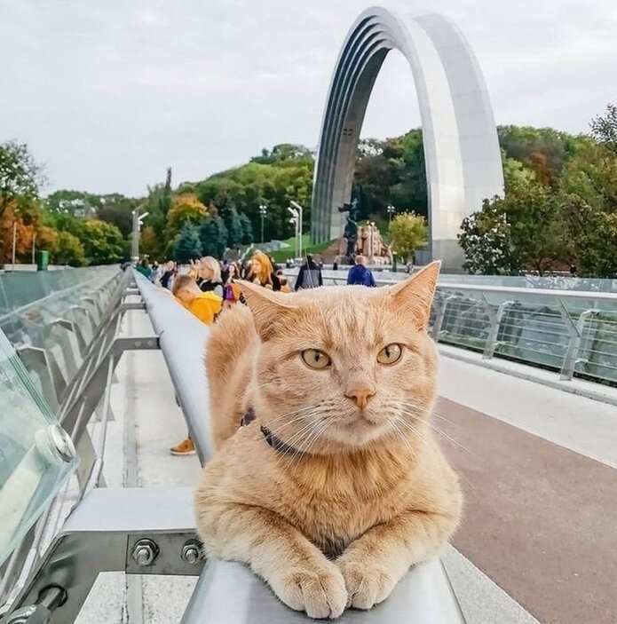 Один день із життя міста