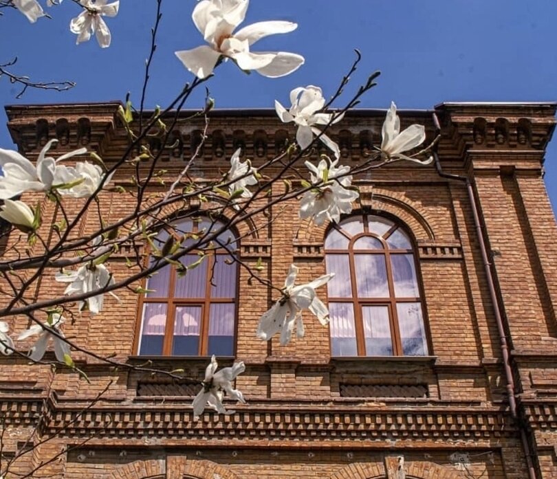 Затишне Запоріжжя