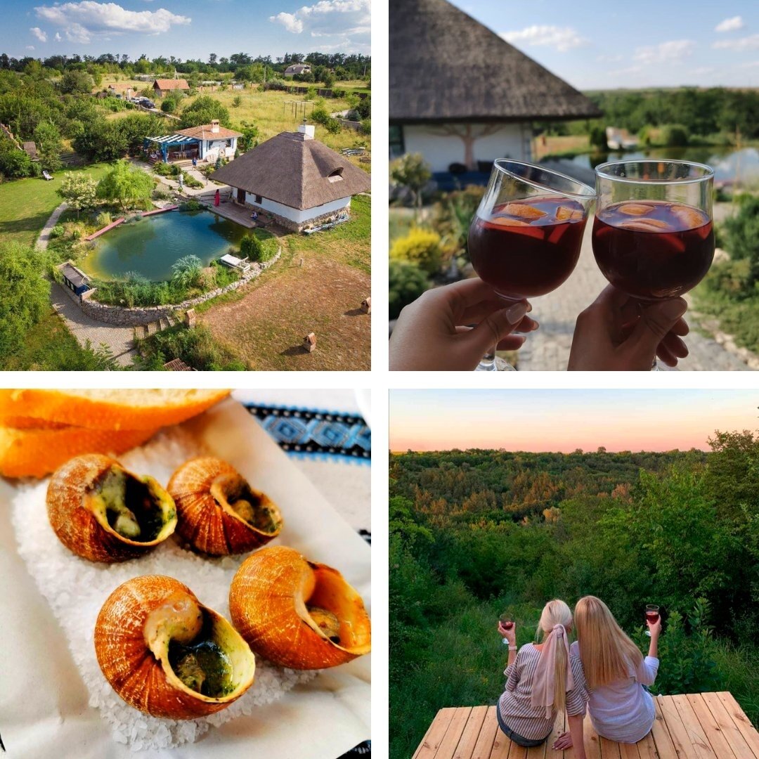 Вино і равлики. Екскурсія на виноробню