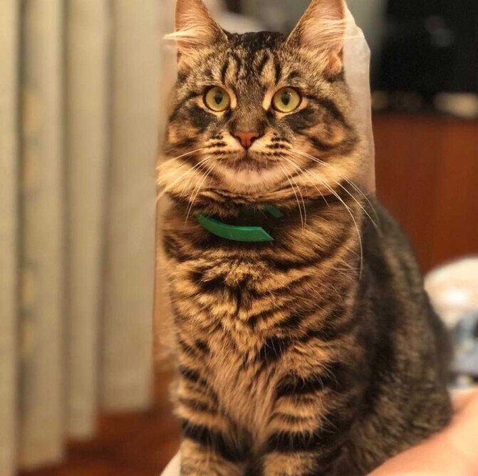 Гарні новини за тиждень