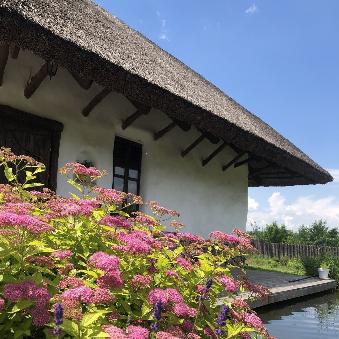 Екскурсії «Вино і равлики» у Запоріжжі