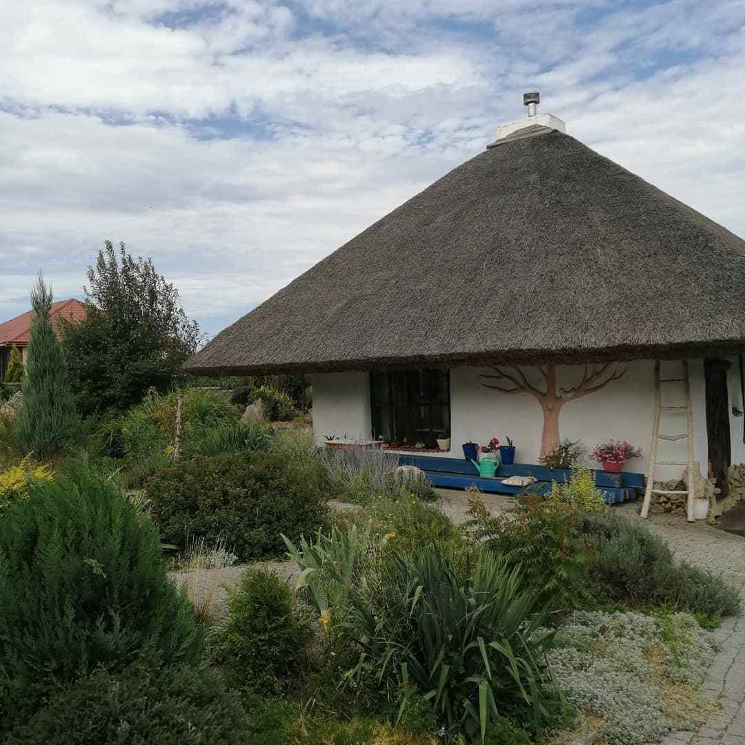 Фотозвіт. Екскурсія на виноробню Villa del Vino