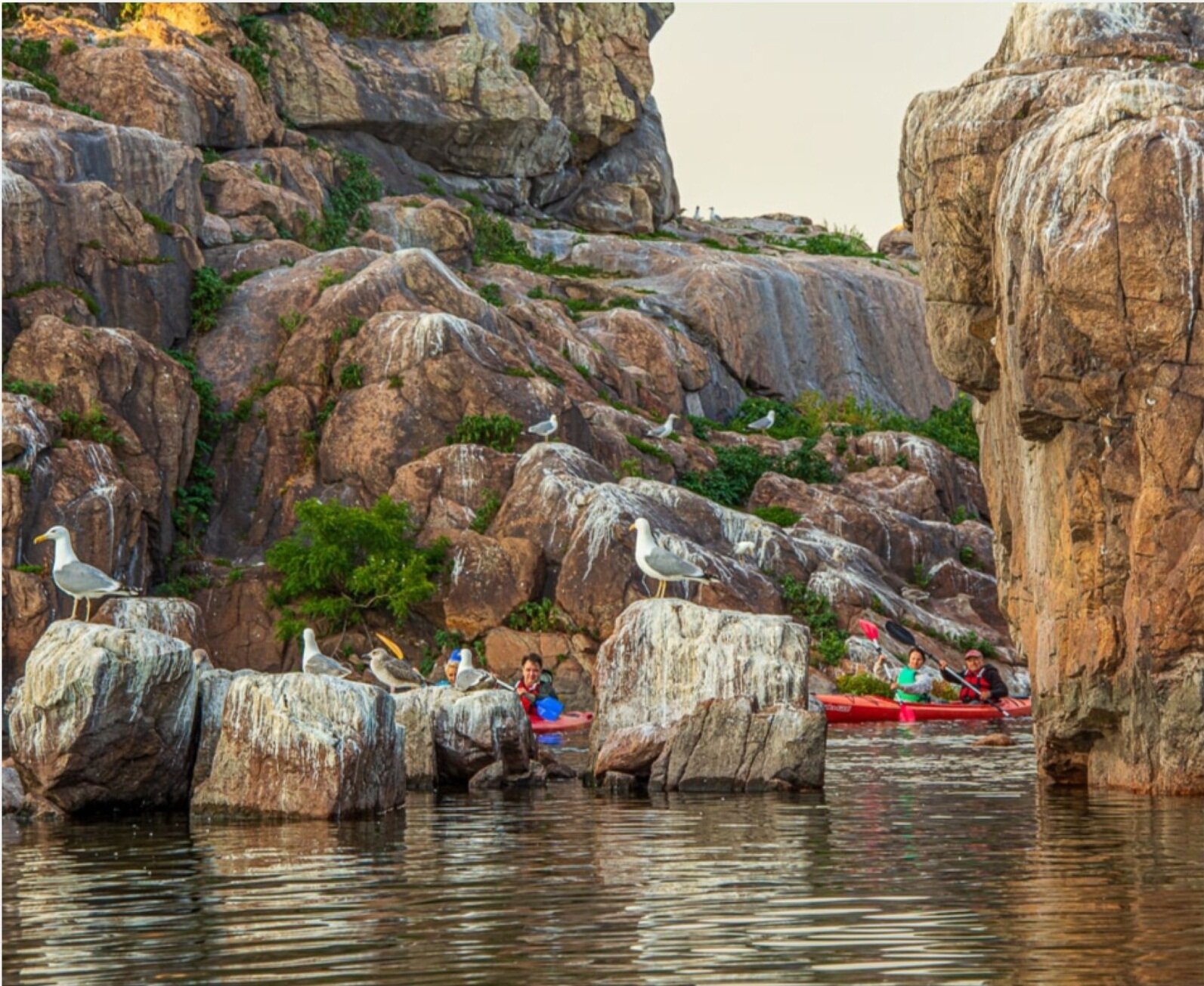 Афіша. Екскурсії та активності на вікенд