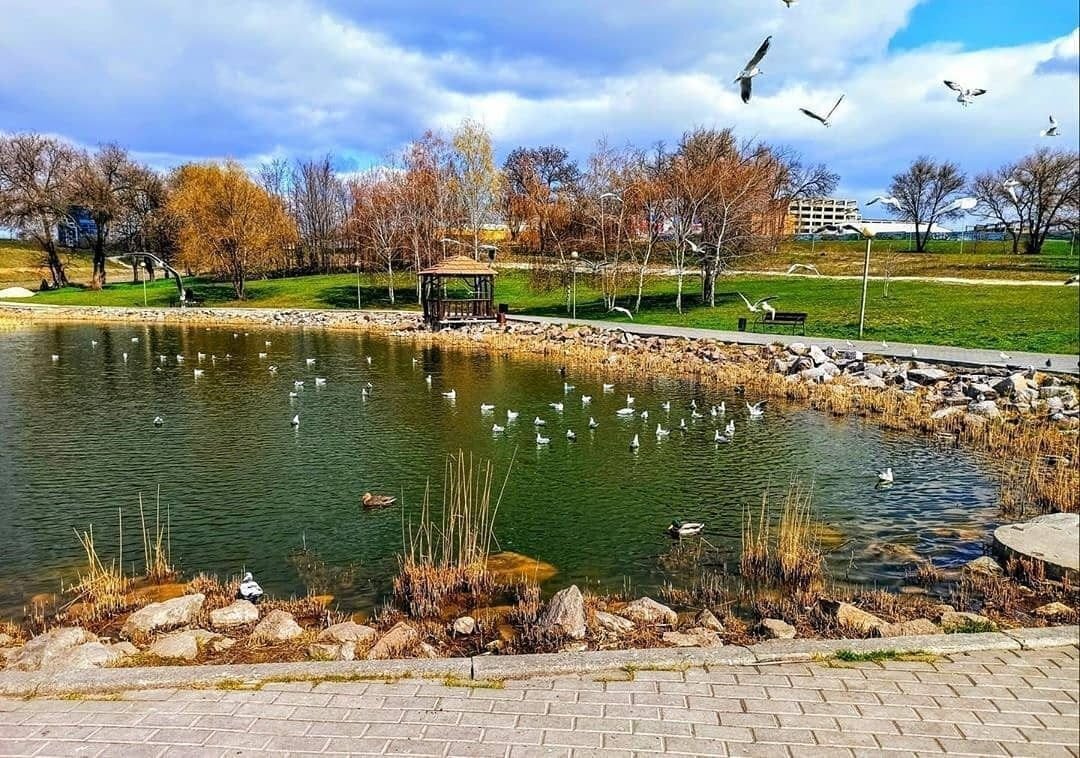 Де насолодитися осінню у Запоріжжі