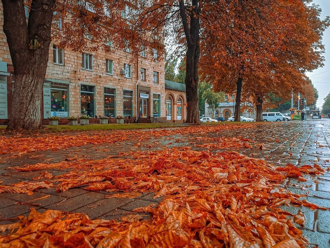 Photos: Autumn in the City