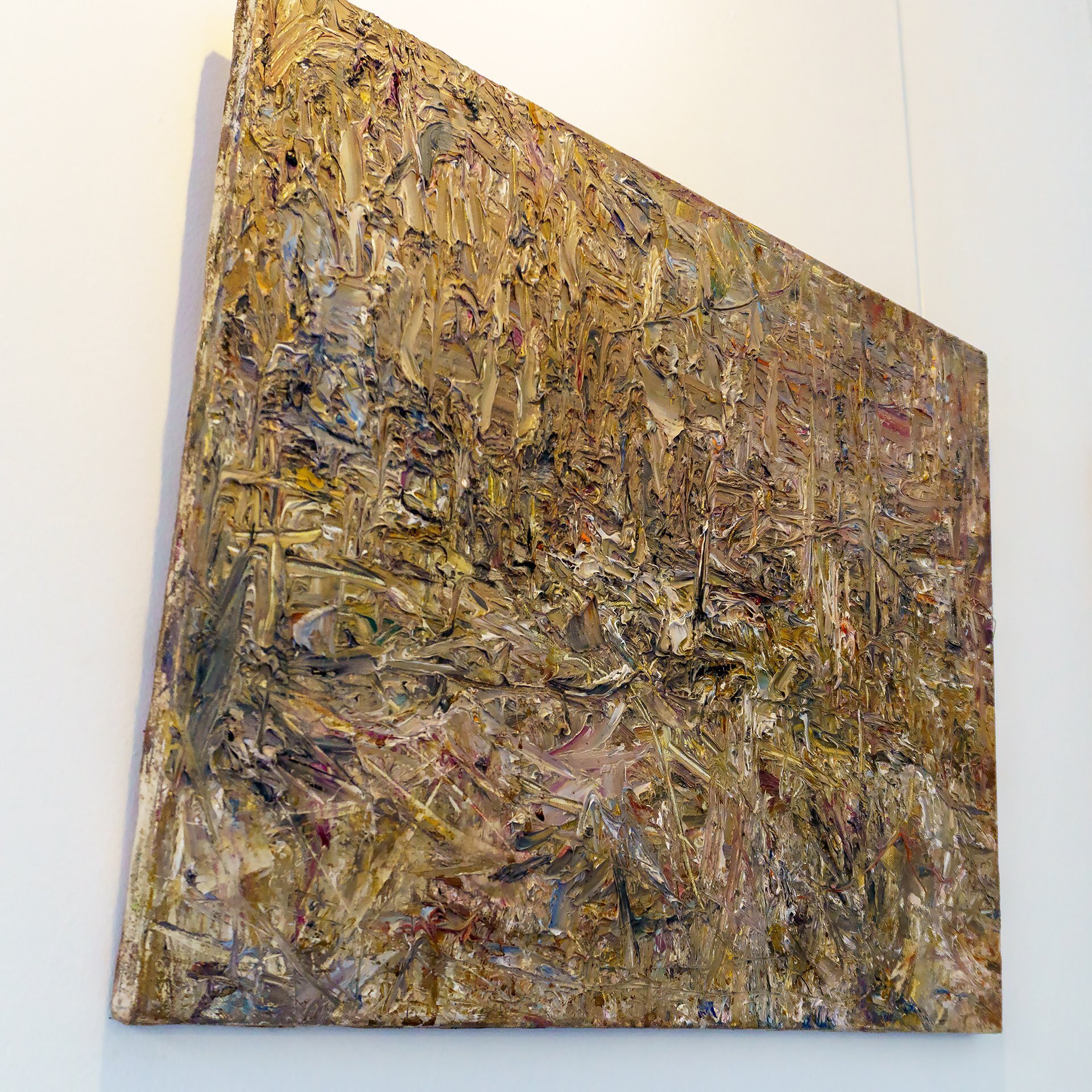 Відкриття виставки Віталія Гончаренка