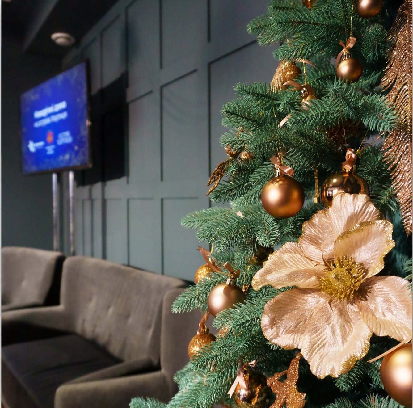 Festive locations on the island of Khortytsia