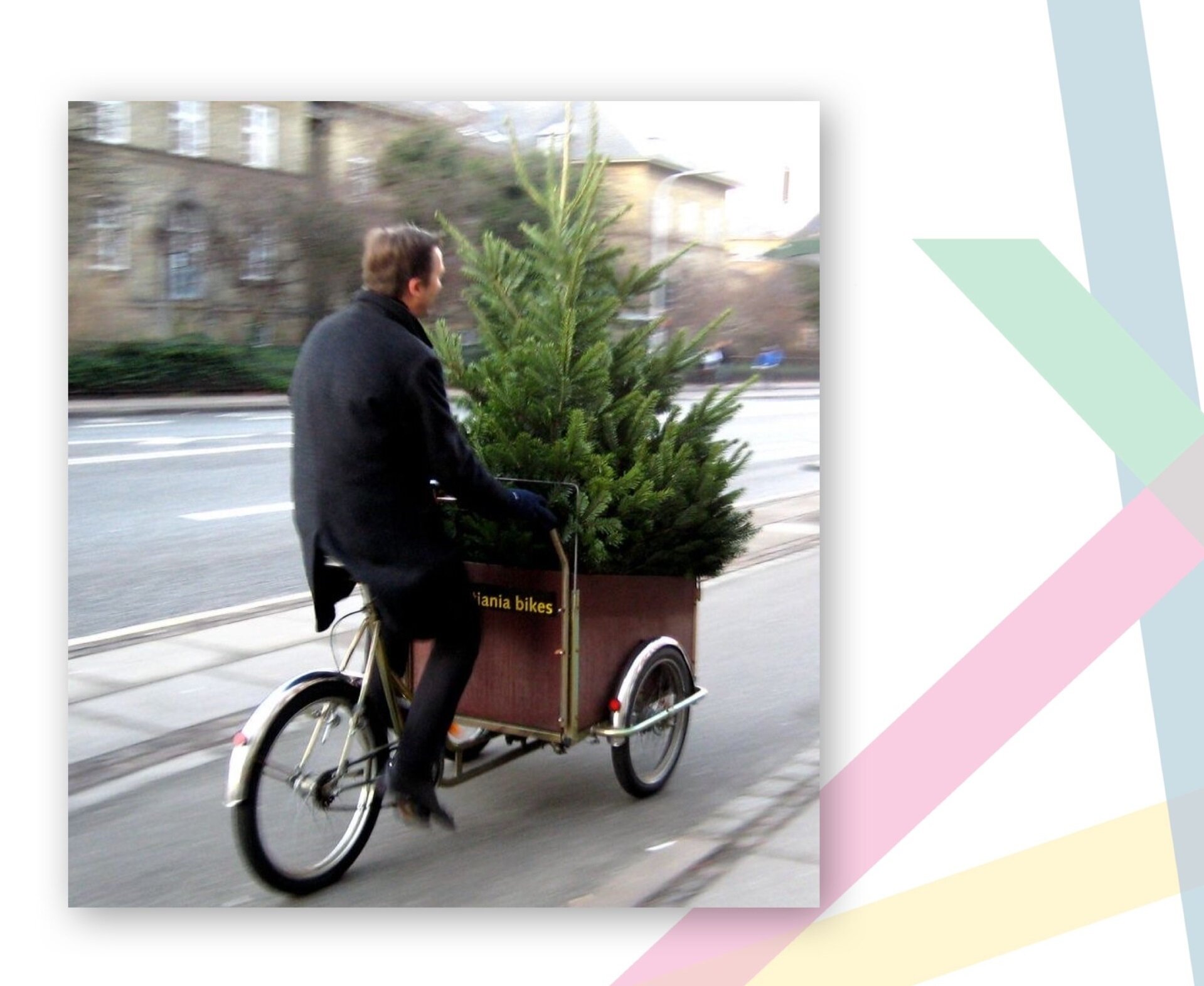 Ялинкові ярмарки у Запоріжжі