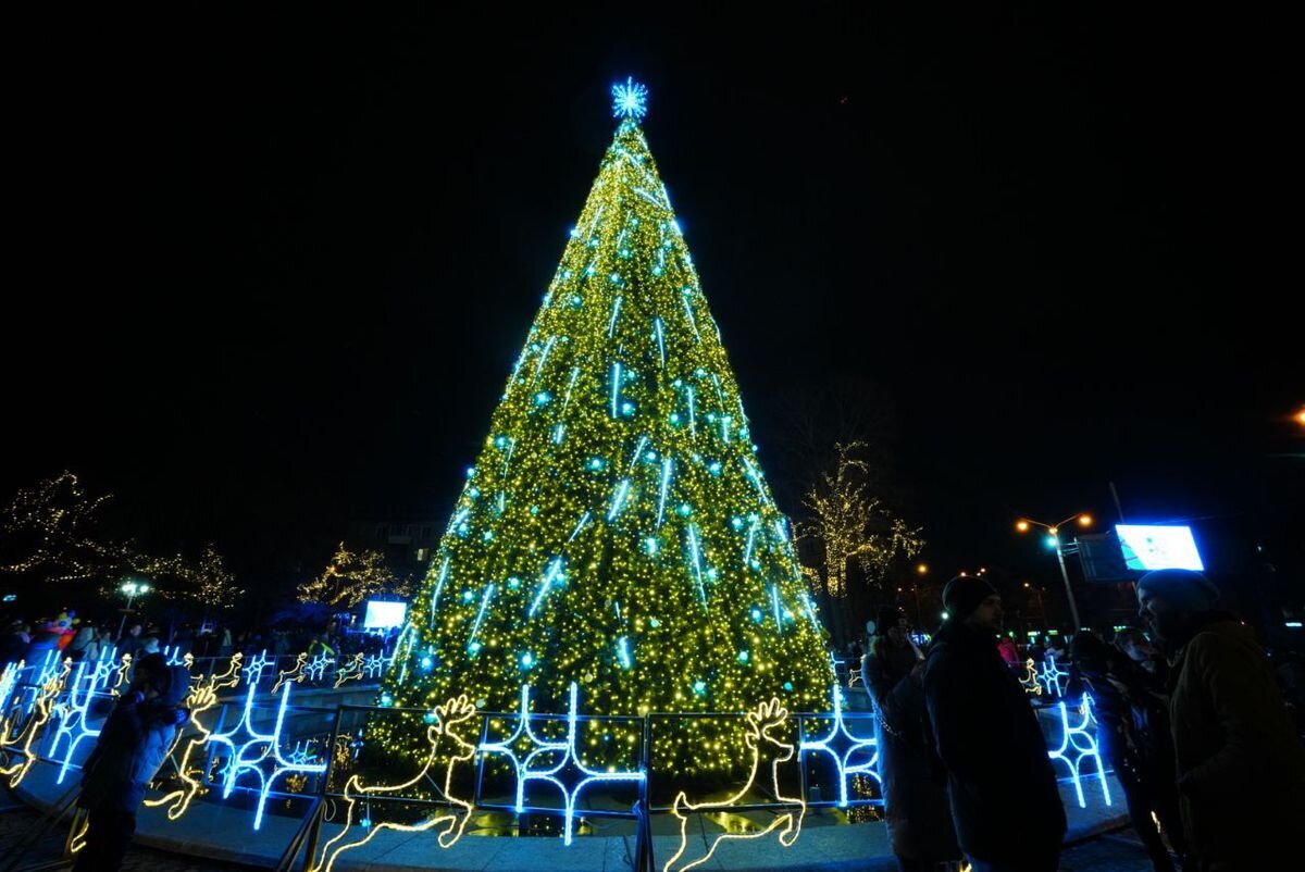 Відкриття головної ялинки міста