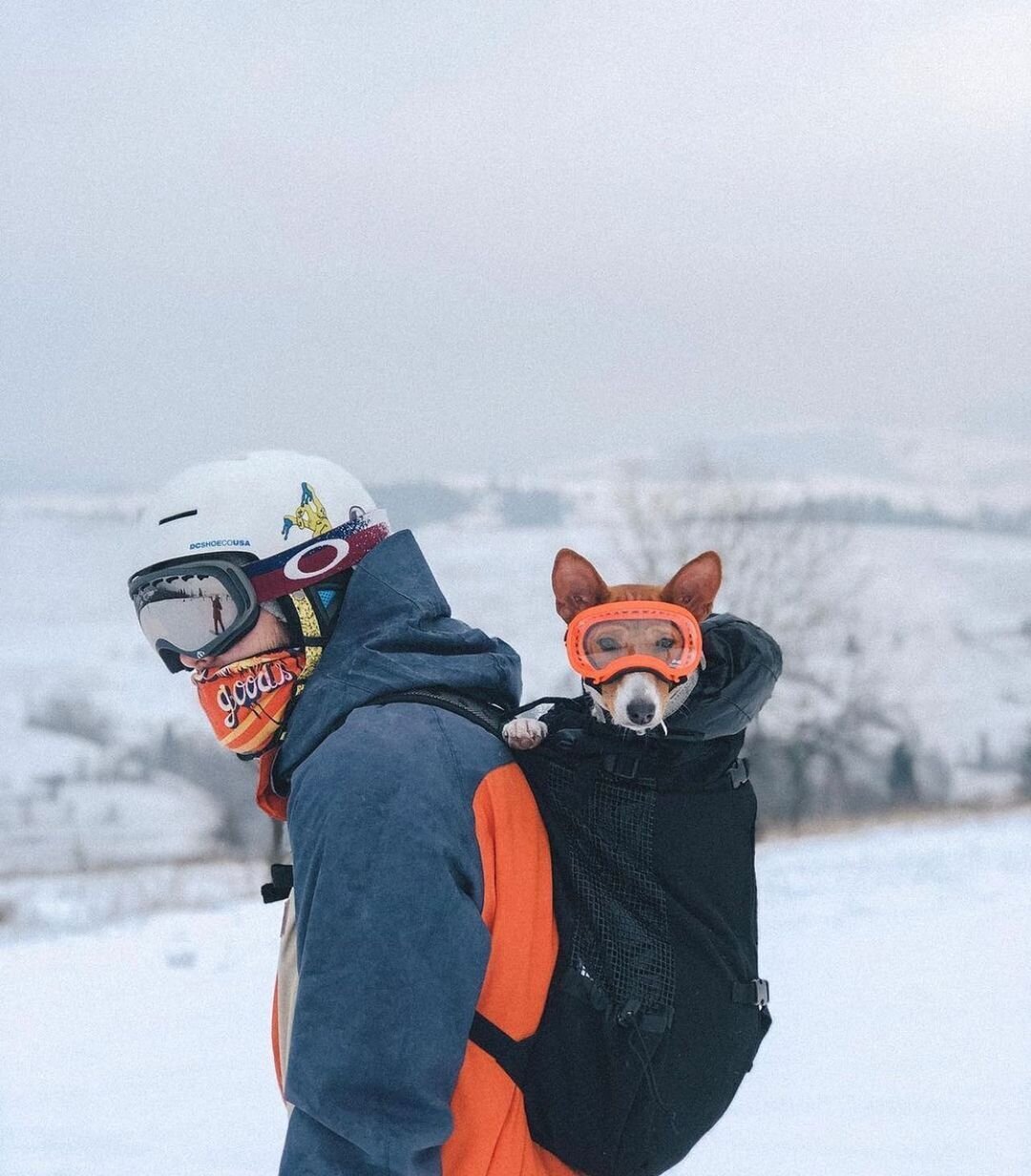 Де провести час у січні