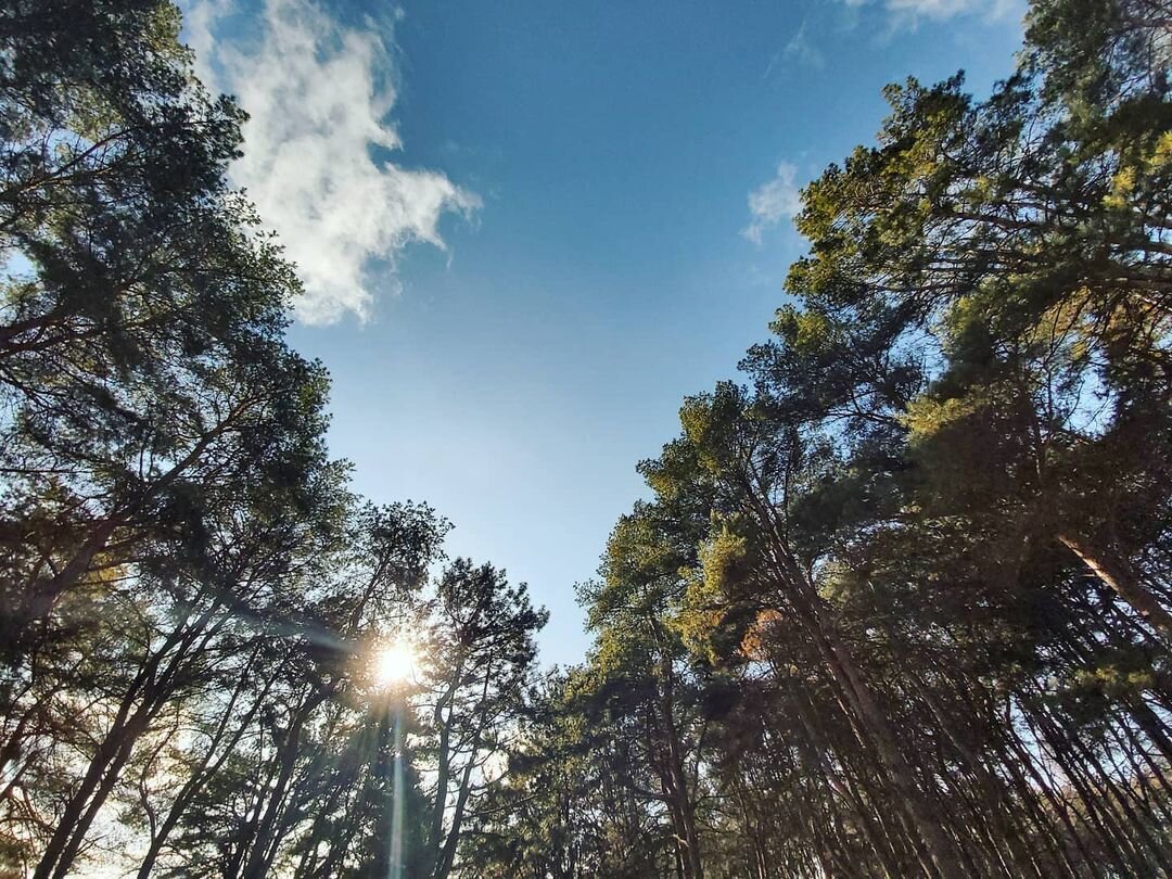 5 місць для зимової прогулянки