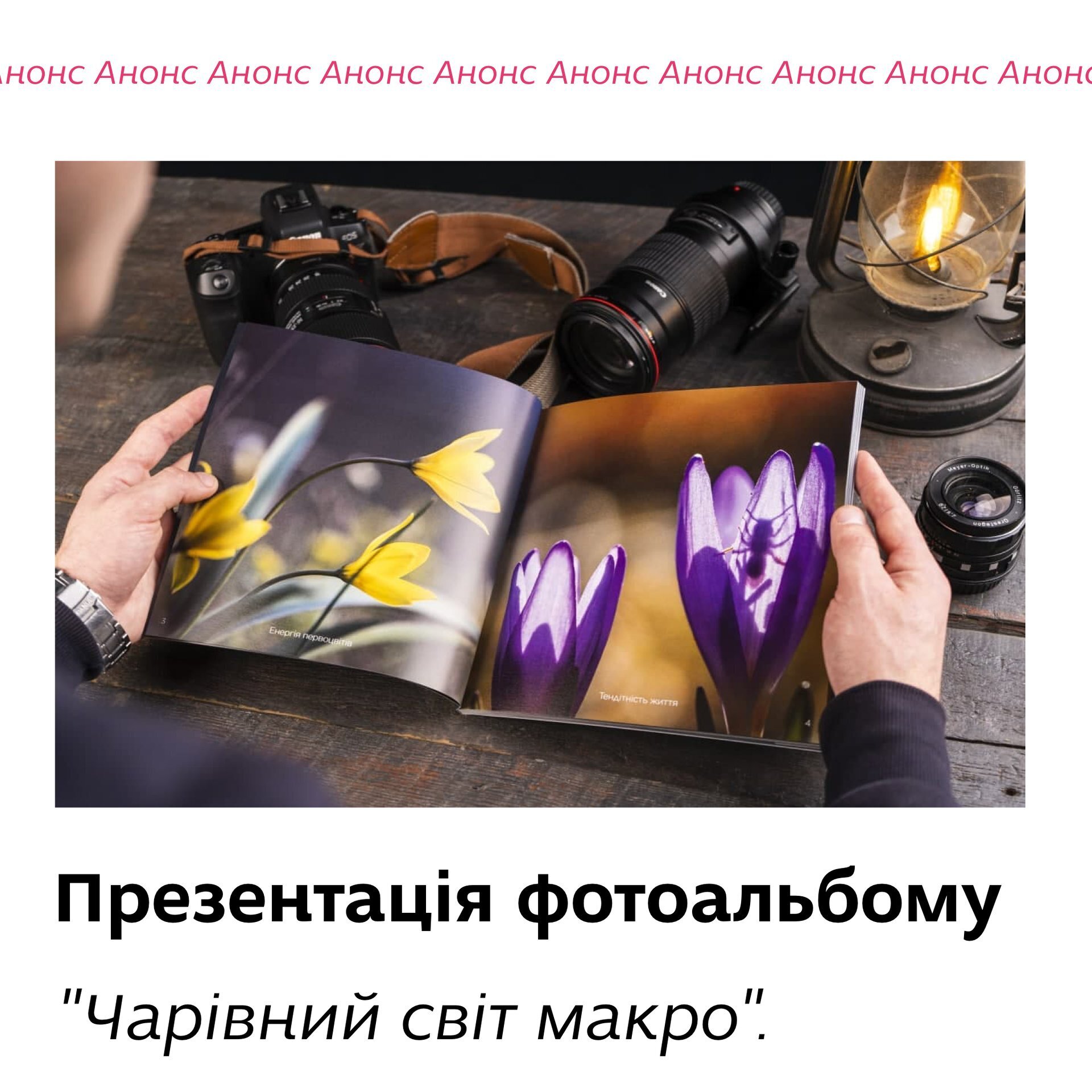 Презентація фотоальбому "Чарівний світ макро"