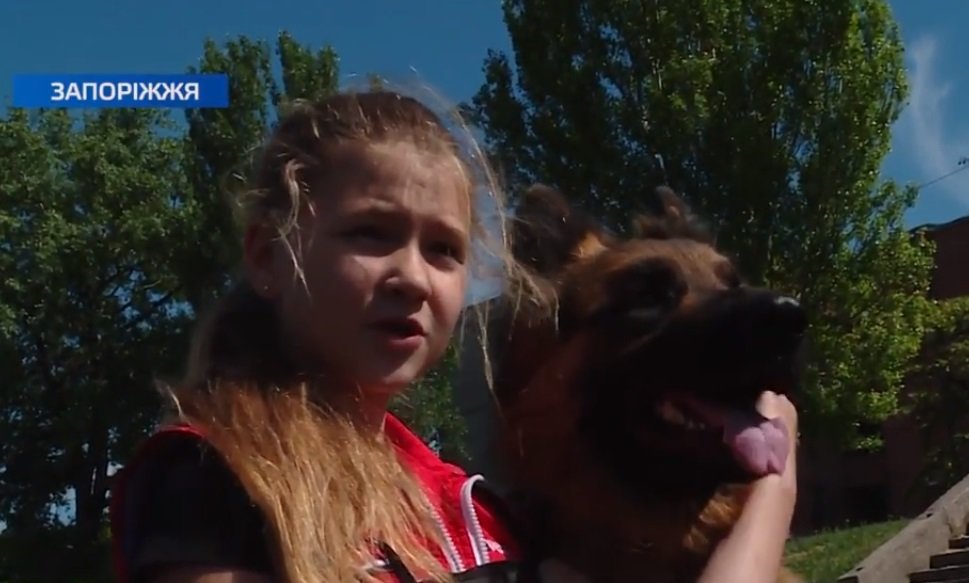 У Запоріжжі обрали кращого юного кінолога України