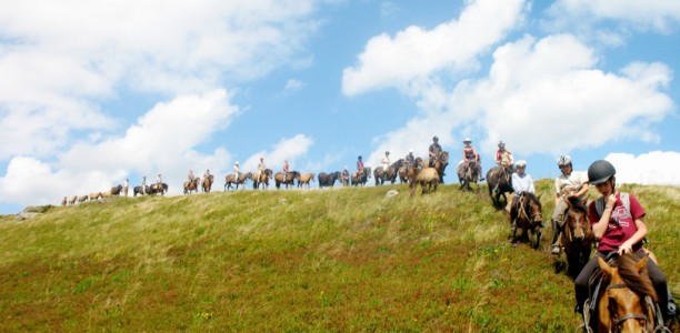 До Запоріжжя йде кінний похід